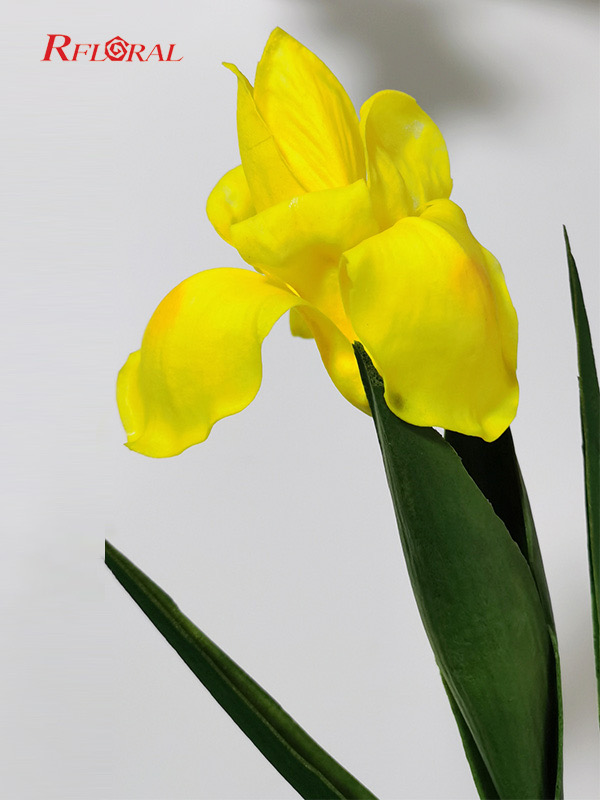 Long Stem Artificial Multi-colour Iris Flower From Chinese Manufacturer 