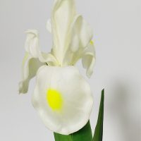 Long Stem Artificial Multi-colour Iris Flower From Chinese Manufacturer