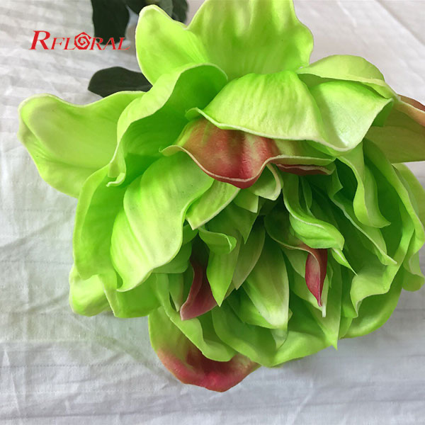 Best Value Real Touch Fake Flower Peony in Great Size Hot Sale on Alibaba