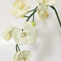 Real Touch Artificial Flower Butterfly Orchid (Phalaenopsis) Long Stem Six Flower Home Decor