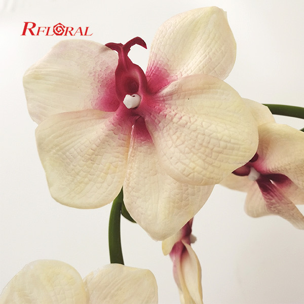 Long Stem Artificial Flower Vanda Orchid Real Touch Petals Hot Sale In Singapore 