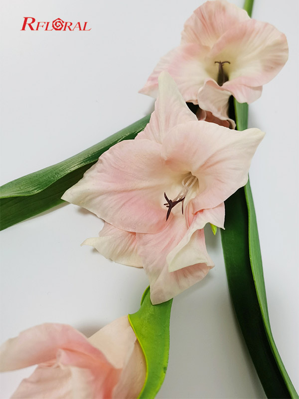 Artificial Flower Gladiolus Long Stem Multi-color Home Decor Wholesale Supplier 