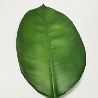 Fake Rubber Plant Leaf Real Touch Nearly Natural Faux Leaf